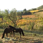 D'hotes Avec Vue Panoramique - Saint Roch Bed and Breakfast