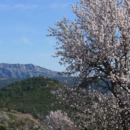 D'hotes Avec Vue Panoramique - Saint Roch Oda ve Kahvaltı Tuchan