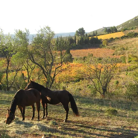 D'hotes Avec Vue Panoramique - Saint Roch Oda ve Kahvaltı