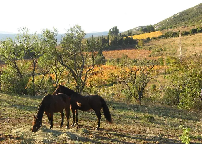 D'hotes Avec Vue Panoramique - Saint Roch Bed & Breakfast
